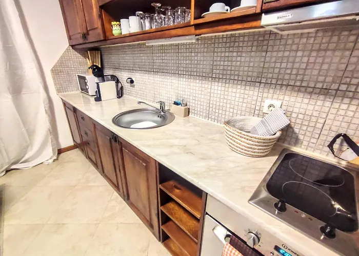 Large 1bd In 4star Apartament Bansko